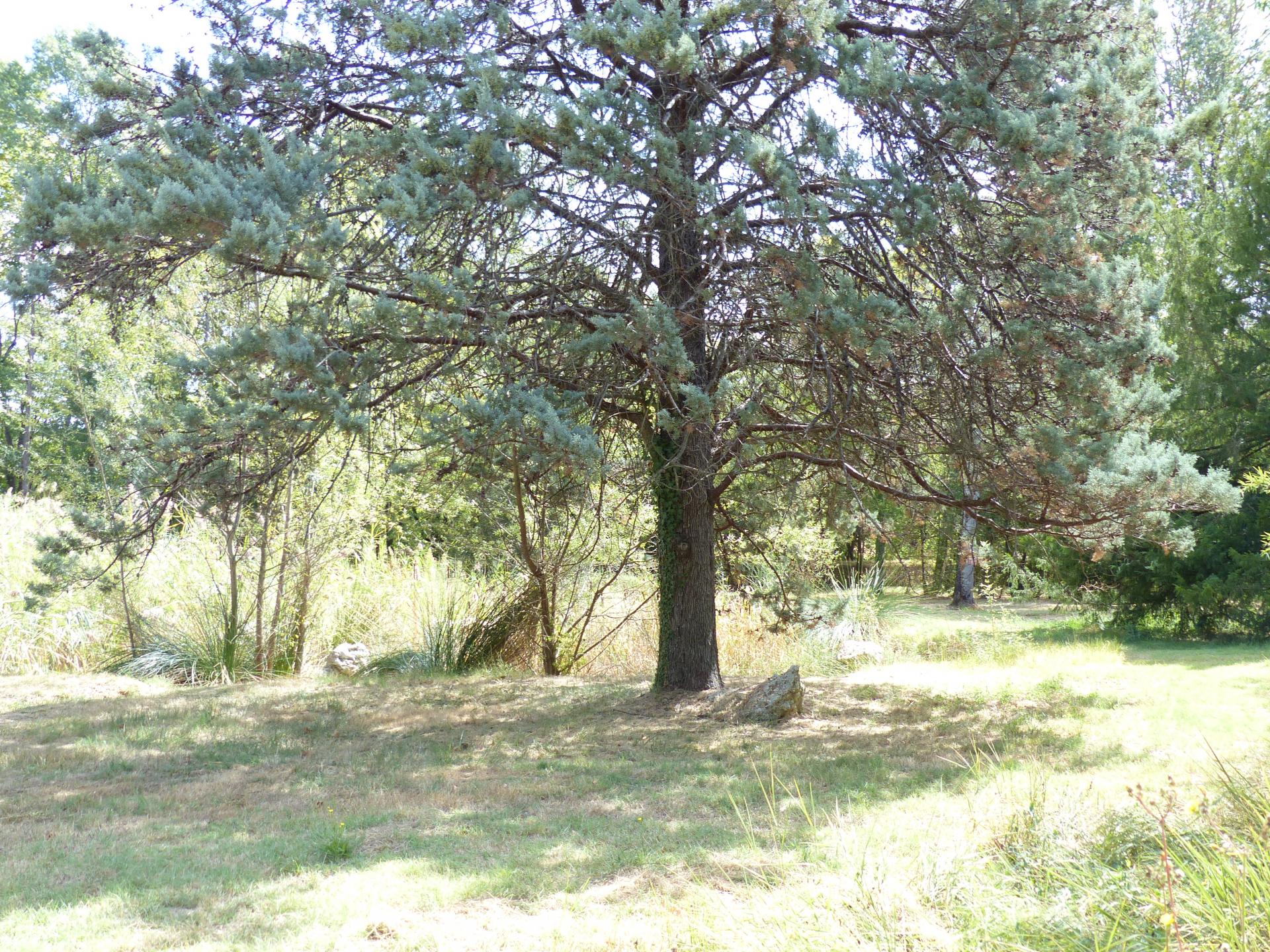 Le Parc Thermal