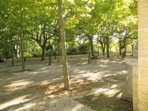 Parc petanque 3
